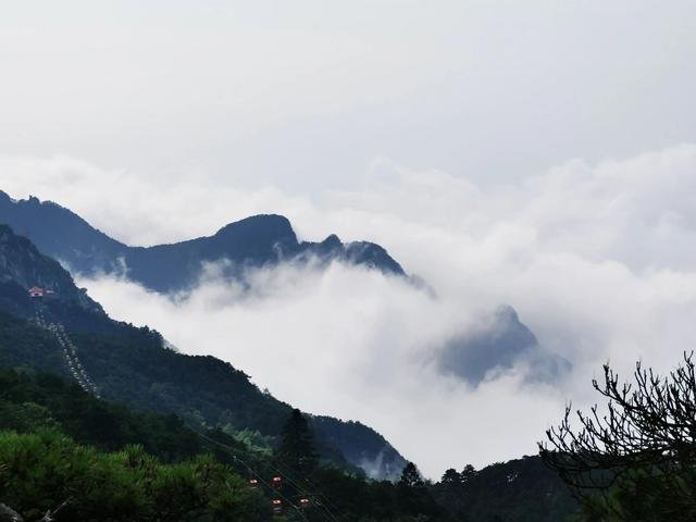 反向旅游兴起,为什么年轻人口味变了?