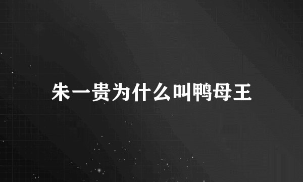 朱一贵为什么叫鸭母王