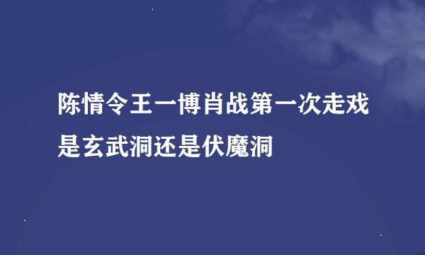 陈情令王一博肖战第一次走戏是玄武洞还是伏魔洞