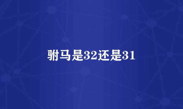 驸马是32还是31
