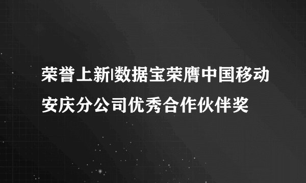 荣誉上新|数据宝荣膺中国移动安庆分公司优秀合作伙伴奖
