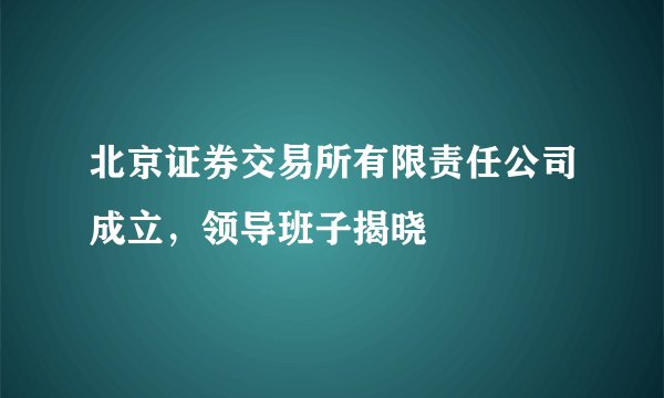北京证券交易所有限责任公司成立，领导班子揭晓