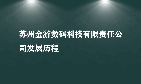 苏州金游数码科技有限责任公司发展历程