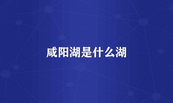 咸阳湖是什么湖