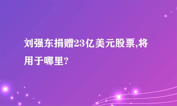 刘强东捐赠23亿美元股票,将用于哪里?