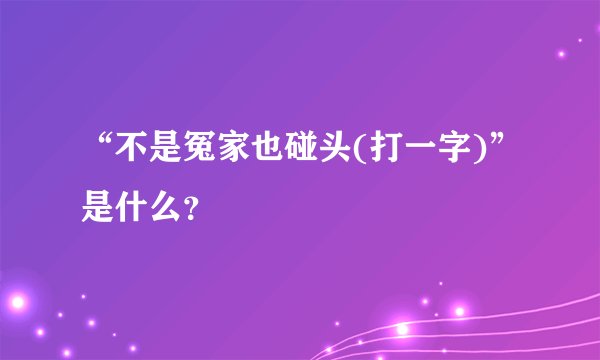 “不是冤家也碰头(打一字)”是什么？