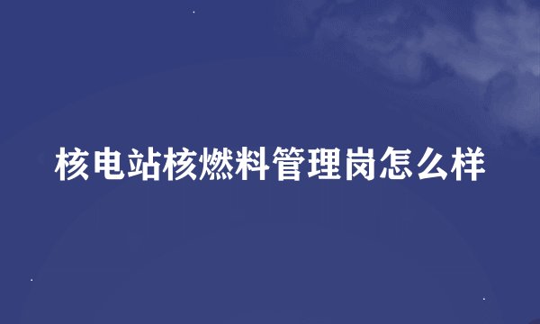 核电站核燃料管理岗怎么样