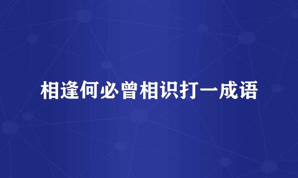 相逢何必曾相识打一成语