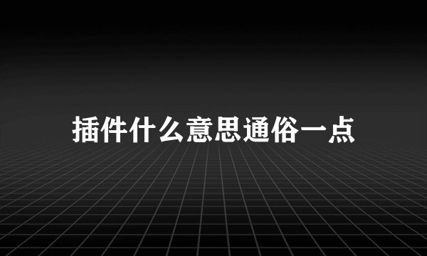插件什么意思通俗一点