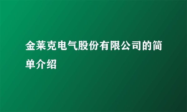 金莱克电气股份有限公司的简单介绍