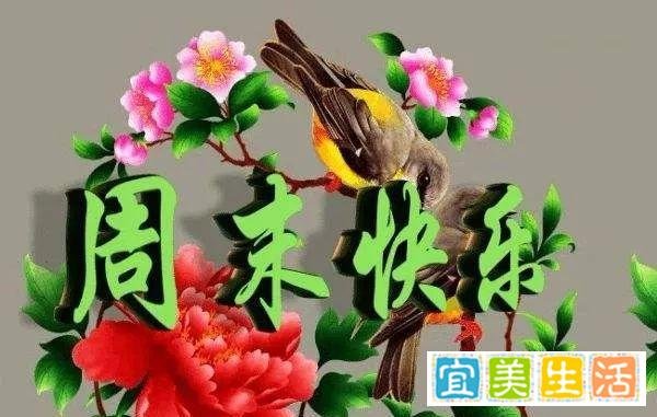 2021秋天早上好短信问候句子,周末愉快漂亮问候祝福语图片带字表情