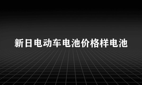 新日电动车电池价格样电池