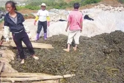 土坑酸菜涉事企业官网称客户含肯德基、康师傅等，这件事会发酵到哪种程度？