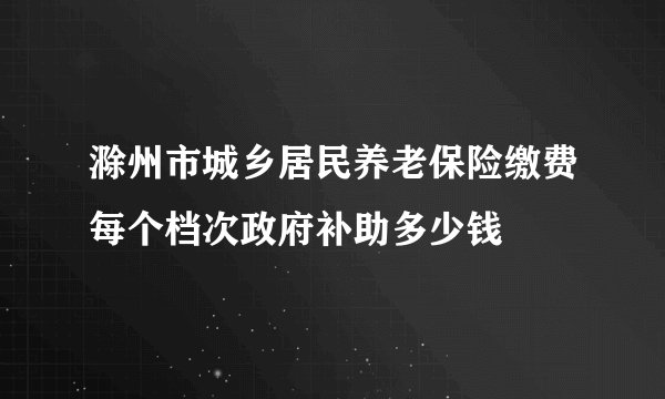 滁州市城乡居民养老保险缴费每个档次政府补助多少钱