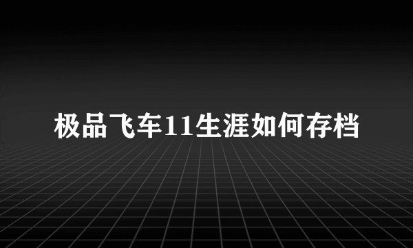 极品飞车11生涯如何存档