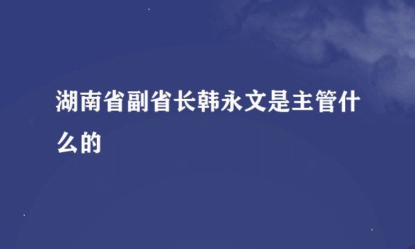 湖南省副省长韩永文是主管什么的