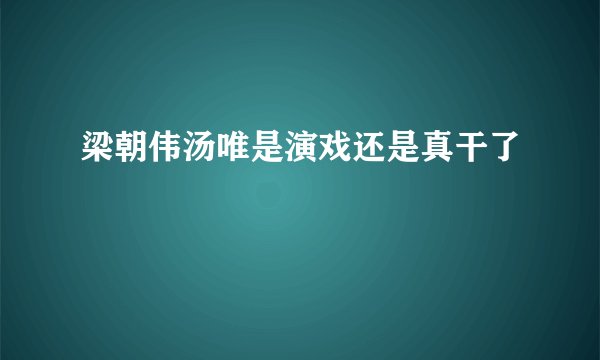 梁朝伟汤唯是演戏还是真干了