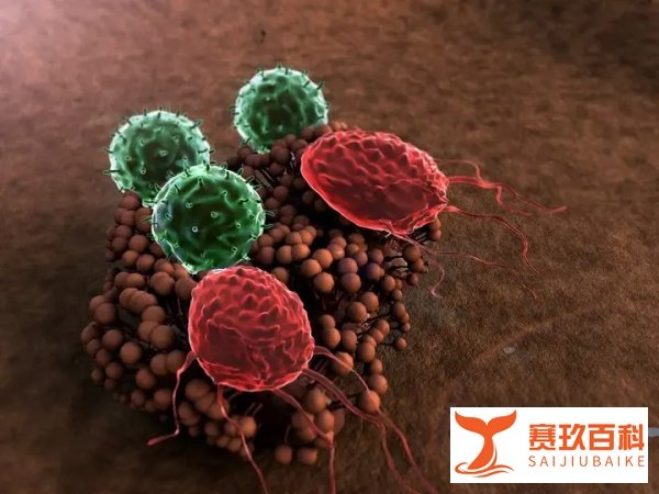 权威回应“超级真菌”传闻！可以放心了……