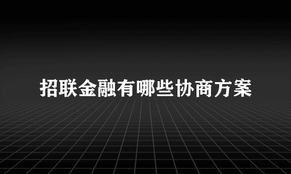 招联金融有哪些协商方案