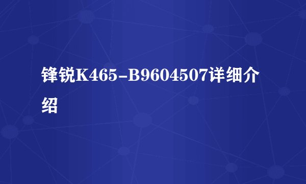 锋锐K465-B9604507详细介绍