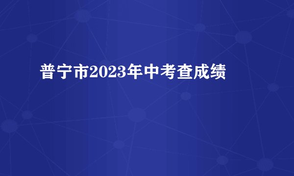 普宁市2023年中考查成绩