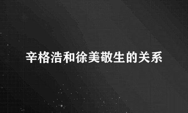 辛格浩和徐美敬生的关系