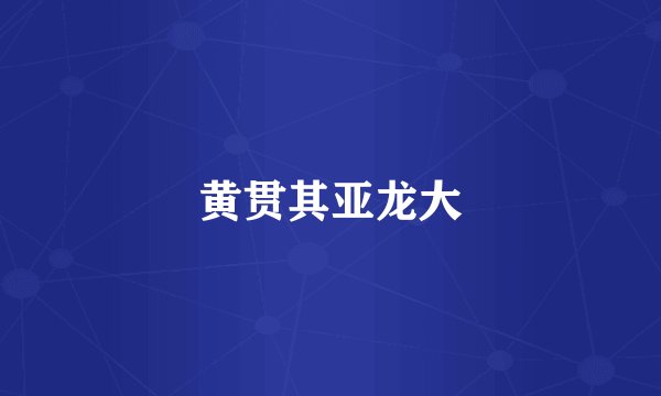 黄贯其亚龙大