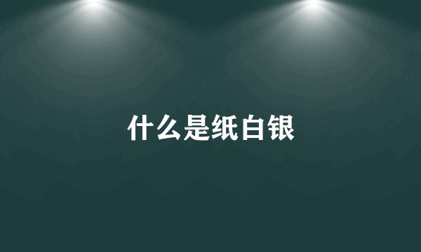 什么是纸白银