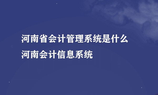 河南省会计管理系统是什么 河南会计信息系统