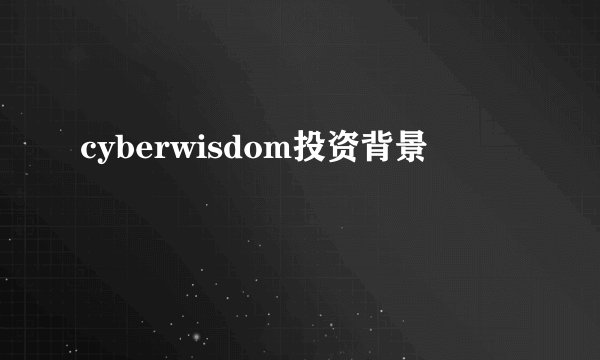 cyberwisdom投资背景