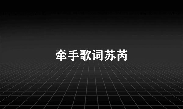 牵手歌词苏芮