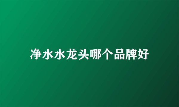 净水水龙头哪个品牌好