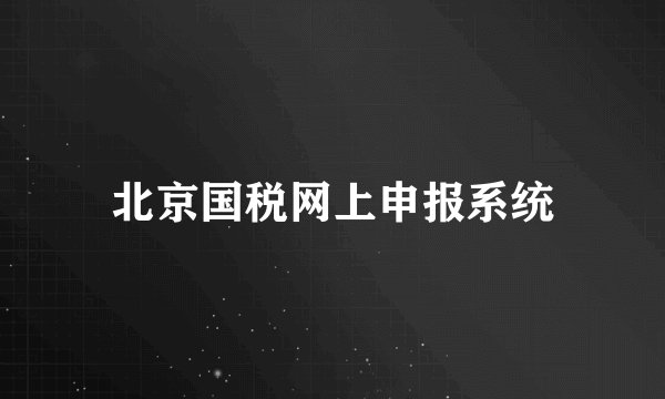 北京国税网上申报系统