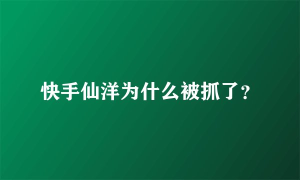 快手仙洋为什么被抓了？