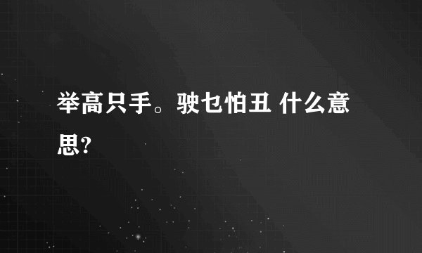 举高只手。驶乜怕丑 什么意思?