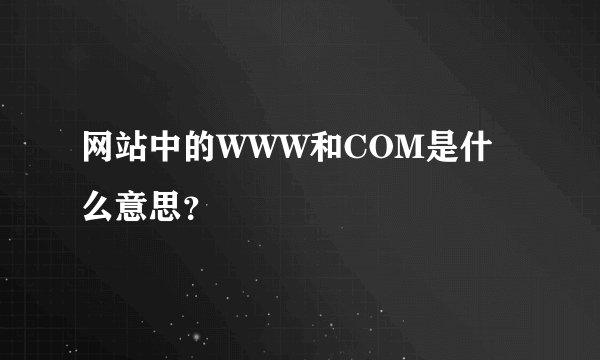 网站中的WWW和COM是什么意思？
