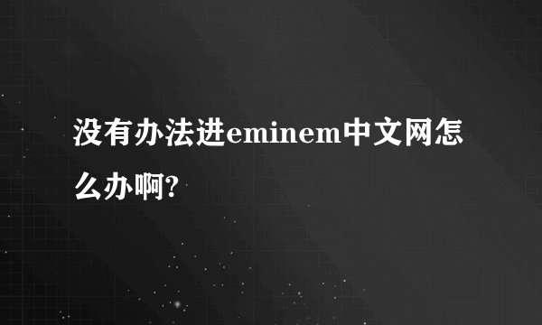 没有办法进eminem中文网怎么办啊?