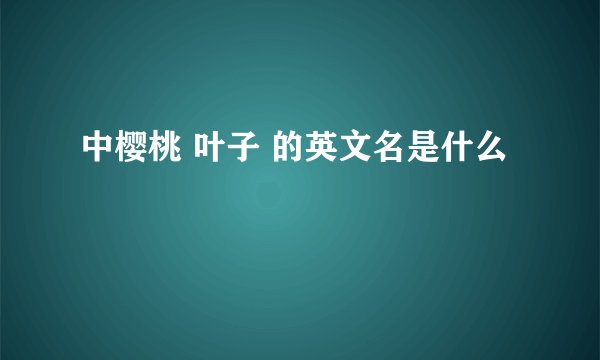 中樱桃 叶子 的英文名是什么