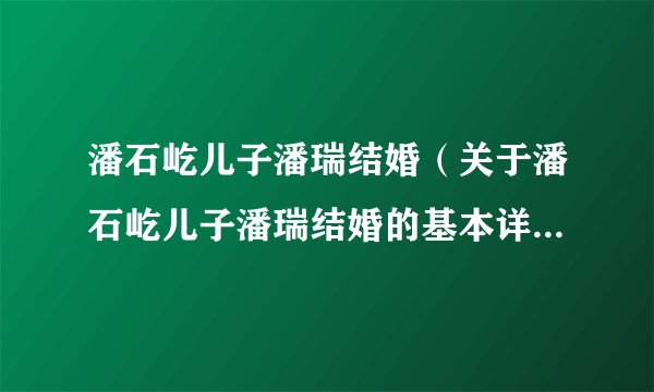 潘石屹儿子潘瑞结婚(关于潘石屹儿子潘瑞结婚的基本详情介绍)