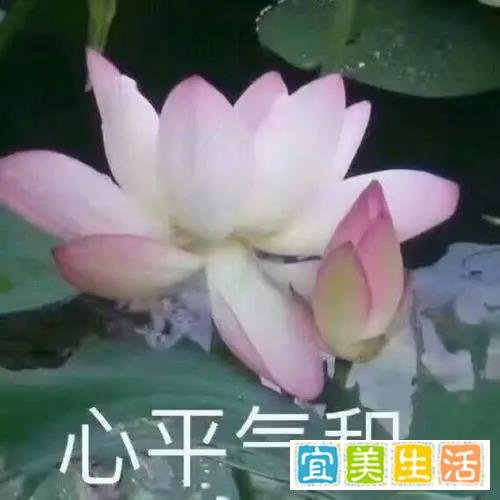 新规实施后，武夷山纪念币的预约令人崩溃！