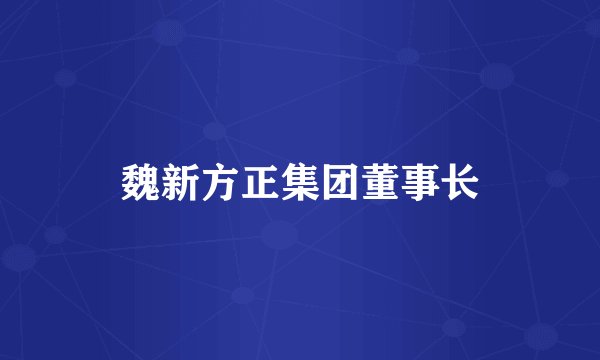 魏新方正集团董事长