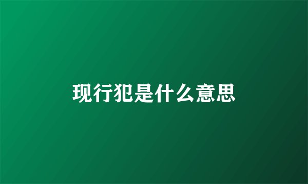 现行犯是什么意思