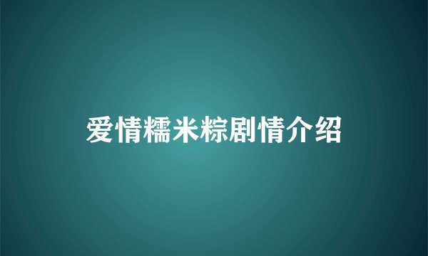 爱情糯米粽剧情介绍