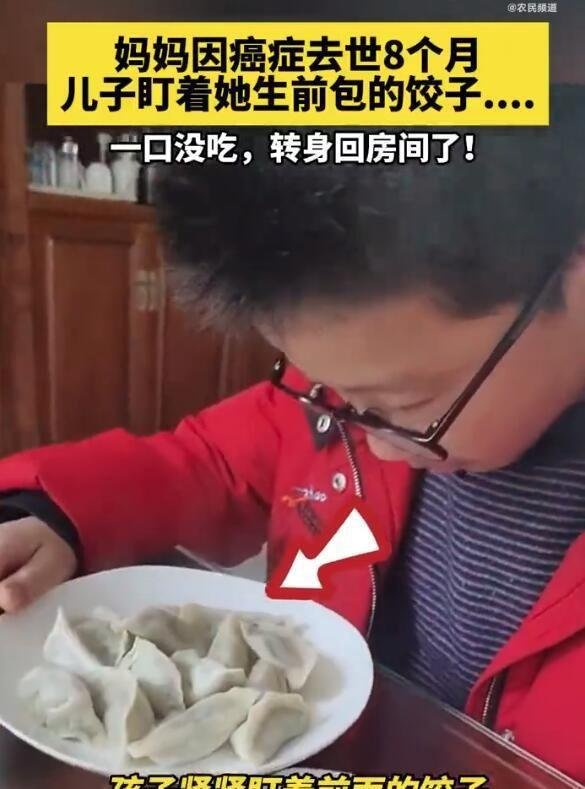 泪目：妈妈去世8个月留下1盘饺子，儿子一口没吃转身哭了！