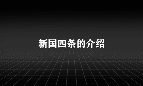 新国四条的介绍