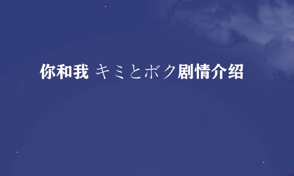 你和我 キミとボク剧情介绍