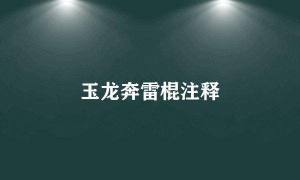 玉龙奔雷棍注释