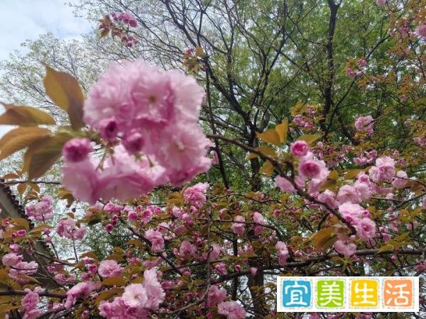 再论美国财长耶伦女士访华