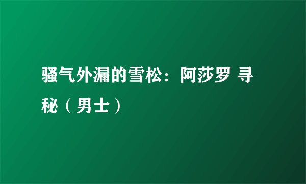 骚气外漏的雪松：阿莎罗 寻秘（男士）