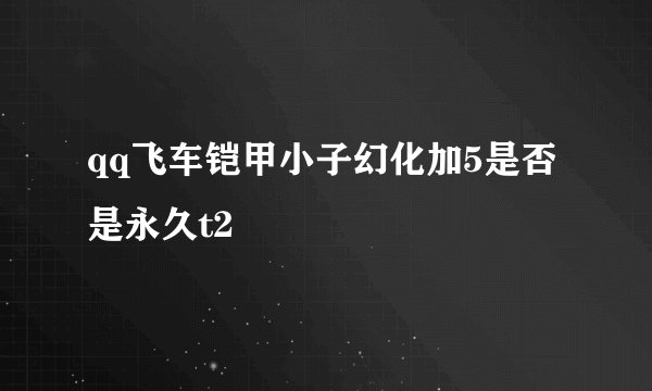 qq飞车铠甲小子幻化加5是否是永久t2